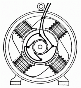 Pole coil or field windings