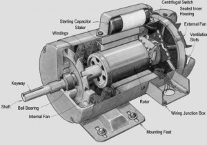 Types of induction motor - Polytechnic Hub