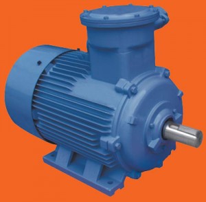 Induction motor